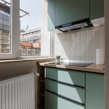 Joy City Victoriei 7d-8 Timişoara